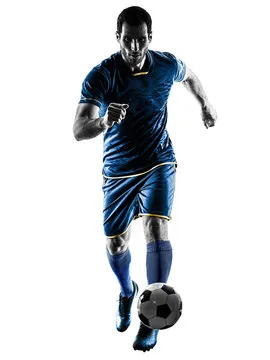 IM体育 主要标志